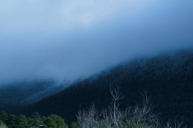 Bulutlar, manzara, dağlar, doğa, ağaçlar, manzara, İspanya, kış