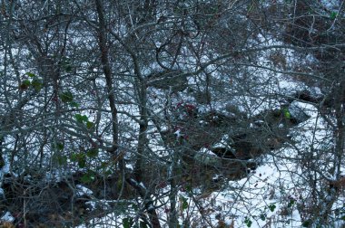 Bulutlar, manzara, dağlar, doğa, ağaçlar, manzara, İspanya, kış