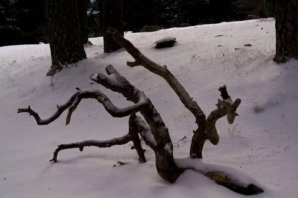 Moln Landskap Berg Natur Träd Utsikt Spanien Vinter — Stockfoto