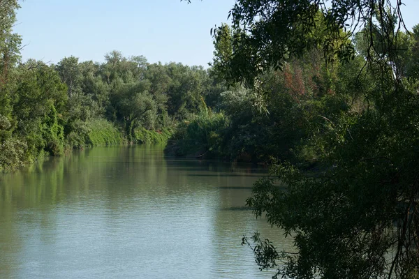 Pemandangan Taman Air Mancur — Stok Foto