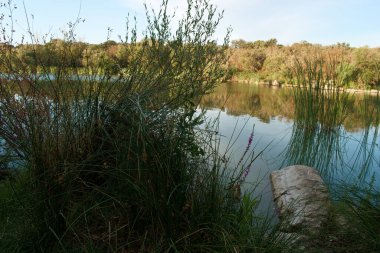 natura przyroda jezioro widok