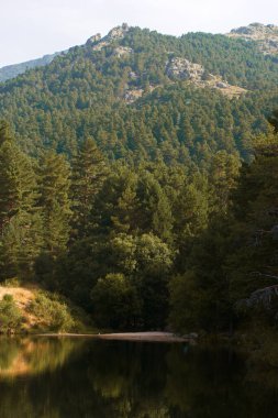 manzara ağaçları doğa dağları