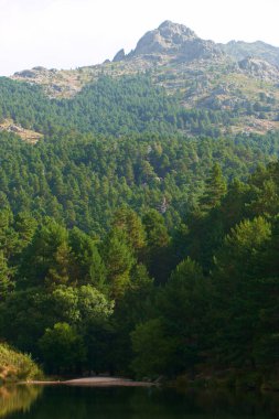 manzara ağaçları doğa dağları