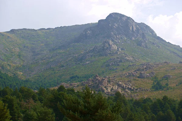 Vista Paesaggio Alberi Natura Montagne — Foto Stock