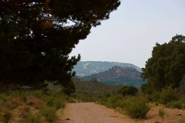 Landschap Uitzicht Bomen Natuur Bergen — Stockfoto