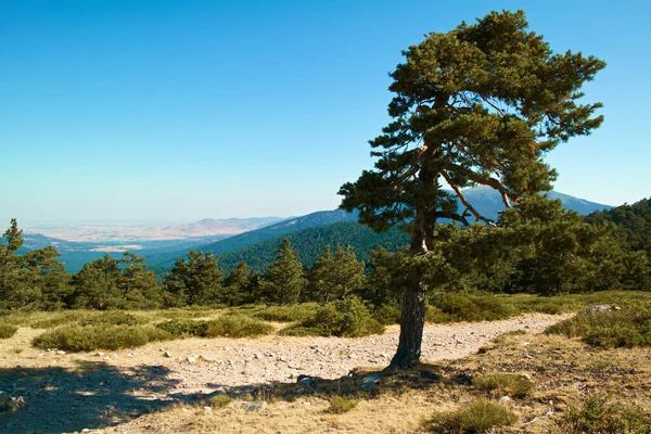 Paisagem Vista Verão Montanhas Céu Azul — Fotografia de Stock