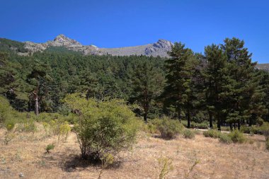 manzara manzarası yaz dağları gökyüzü mavi 
