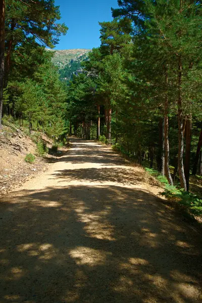 Paisaje Vista Verano Montañas Cielo Azul — Foto de Stock