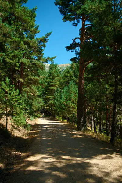 Paisaje Vista Verano Montañas Cielo Azul — Foto de Stock