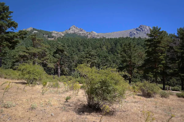 manzara manzarası yaz dağları gökyüzü mavi 