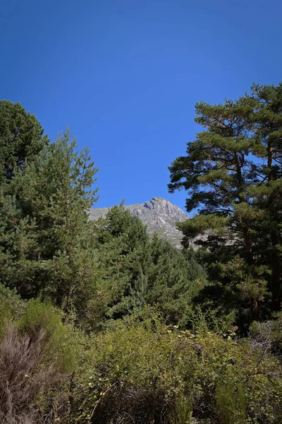 Manzara Manzarası Yaz Dağları Gökyüzü Mavi — Stok fotoğraf