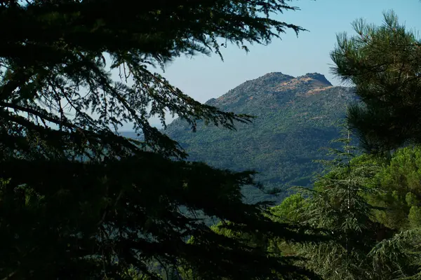 Landschaft Berge Felsen Natur Blick — Stockfoto