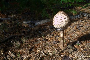 Dağlar manzara gökyüzü doğa doğa