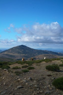 Dağlar manzara gökyüzü doğa doğa