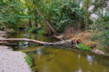 Sakin bir nehir, yemyeşil ağaçlar ve yemyeşil ağaçlarla kaplı kumlu kıyıların yanında yavaşça akar. Atmosfer sakin, rahatlamak ve manzaranın tadını çıkarmak için mükemmel bir yer..
