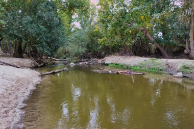 Huzurlu bir nehir, kıyıları boyunca canlı ağaçlarla dolu verimli bir bölgeden yavaşça akar. Güneş ışığı yaprakların arasından süzülerek doğada sakin bir atmosfer yaratır..