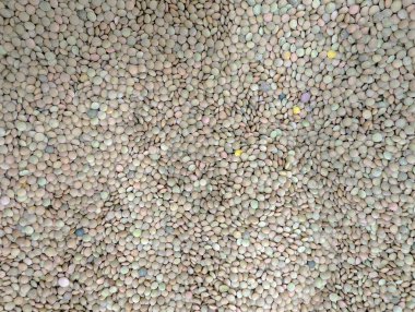 Büyük renkli bir mercimek yığını ahşap bir yüzeyde duruyor, farklı tonlarda ve boyutlarda..