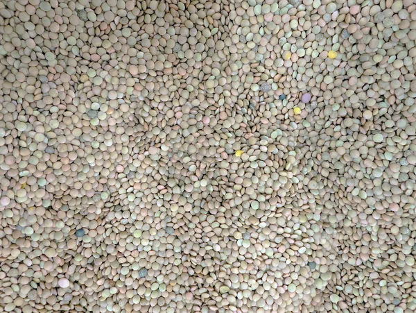 Büyük renkli bir mercimek yığını ahşap bir yüzeyde duruyor, farklı tonlarda ve boyutlarda..