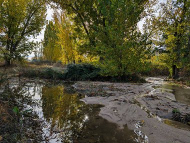 Parlak sarı ve yeşil yapraklar kumlu kıyıların yakınındaki sakin sulara yansıyor. Huzurlu su yolu ağaçlarla çevrili. Huzurlu bir ortamda doğanın güzelliğini gösteriyor..