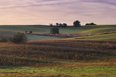 Güneş batarken, yumuşak yeşil tepeler pastel bir gökyüzünün altına uzanıyor ve manzarada sıcak renkler bırakıyor. Dağınık ağaçlar huzurlu manzaraya karakter katar..