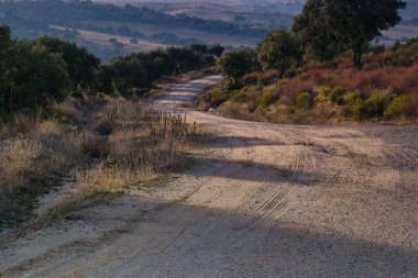 Sakin toprak bir yol, yeşil çalılar ve kuru otlarla çevrili, nazik tepeler boyunca kıvrılır. Güneş arka planda batıyor, manzaranın üzerine sıcak bir parıltı saçıyor..