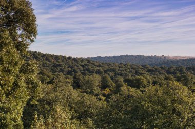 Uçsuz bucaksız yemyeşil ağaçlar parlak mavi gökyüzünün altındaki yuvarlanan tepeler boyunca uzanır. Yumuşak beyaz bulutlar başımızın üstünde huzur içinde sürükleniyor, kırsal kesimin huzurlu atmosferini güçlendiriyor..