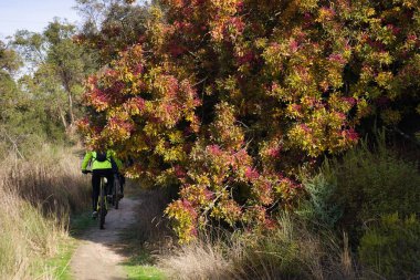 İki bisikletçi, canlı bir sonbahar yeşilliği tarafından kucaklanan dolambaçlı bir patikada geziniyor. Yol bereketli çimenler ve sonbahar renklerinde ağaçlarla çevrili. Açık havada güzel bir manzara yaratıyor..