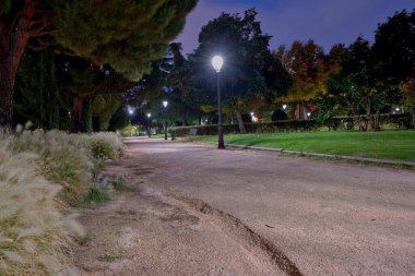 Gece sakin bir park sahnesinde, kıvrımlı bir patikayı aydınlatan hafif parlayan sokak lambaları vardı. Uzun ağaçlar ve canlı bitkiler bölgeyi çevreleyerek sakin atmosferi güçlendiriyor..