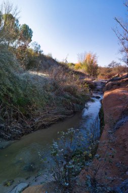 Bereketli bitkiler ve sonbahar ağaçlarıyla dolu bir arazide huzurlu bir dere yavaşça akar. Güneş parlıyor, doğal manzaraya sıcak bir ışık tutuyor..