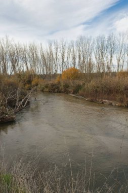 Bir nehir, kıyıları saran çıplak ağaçlarla kırsal bir alandan akar. Su kahverengi ve biraz enkaz var. Çalılar ve çimenler görülebilir, bu da kış koşullarını gösterir..