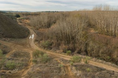 Kırsal alanda ağaçlar arasında kesişen iki toprak yol var. Manzara, kurak bitki örtüsünü ve bulutlu bir gökyüzünün altındaki uzak tepeleri gösteriyor..