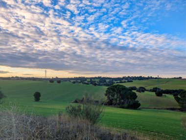 Yeşil otlarla dolu tarlalar ve dağınık ağaçlar araziye yayılıyor. Gökyüzünde bulutlar var ve kırsal bir bölgede batan güneşin renkleriyle aydınlanıyor..