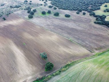 Kırsal bölgedeki tarlaların ve dağılmış ağaçların görüntüsü. Manzara gündüz açık gökyüzünün altında farklı kahverengi ve yeşil tonlarını gösteriyor..