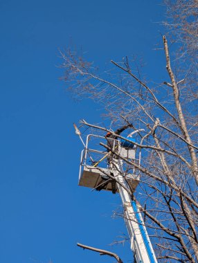 Bir işçi asansörde, uzun bir ağacın dallarını kesiyor. Gökyüzü açık ve mavidir ve çevresi banliyödür. Bu iş gündüz saatlerinde yapılır..