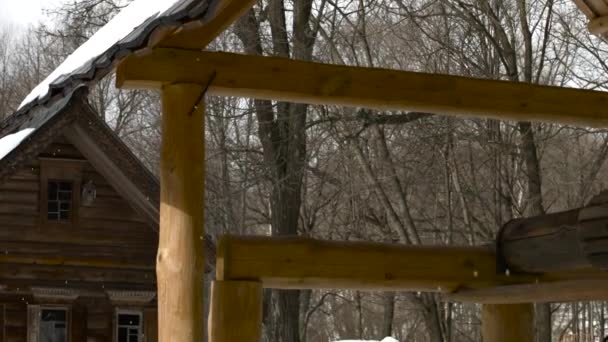 Thaw. The fall drops — Stock Footage Thaw. The fall drops Video Clip