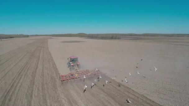 Traktorn arbetar på fältet. Blå himmel — Stockvideo