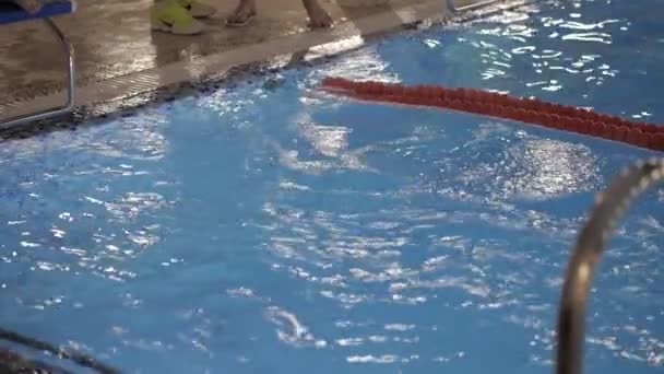 Un garçon plonge dans la piscine — Video