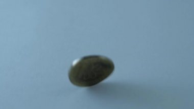 Coin.10 pfennig döndürme