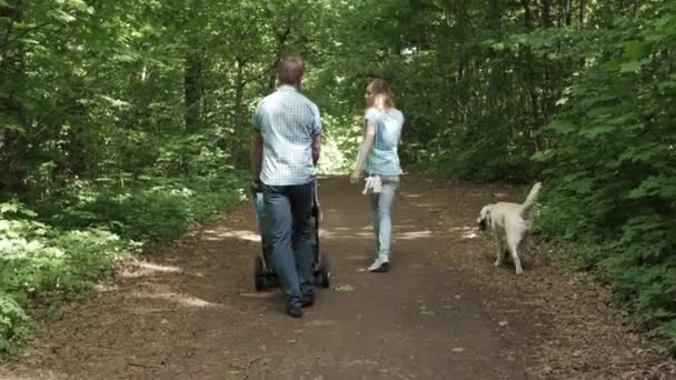 Familia joven caminando en el parque — Vídeo de stock