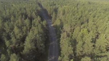 Yaz aylarında bir orman yolda araba araba