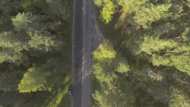 Car driving on a forest road in summer — Stock Video