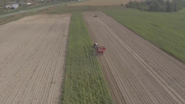 Un tracteur récolte 