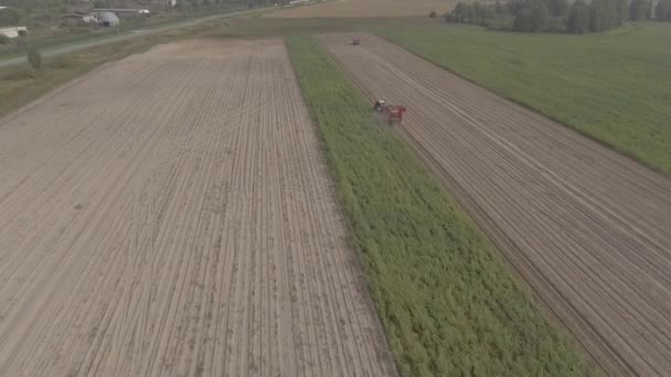 Ein Traktor erntet — Stockvideo