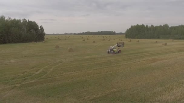 El apilador de heno entrega las balas en el campo — Vídeo de stock