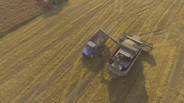 トラックに穀物注ぐを組み合わせる — ストック動画