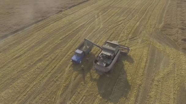 トラックに穀物注ぐを組み合わせる — ストック動画