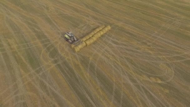 Hay stacker memberikan bales di lapangan — Stok Video