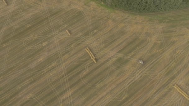 Укладчик сена поставляет тюки на поле — стоковое видео
