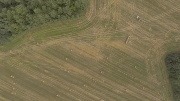 Стікери Hay доставляють тюки на полі — стокове відео