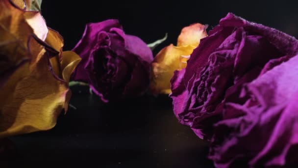 Roserne Det Sorte Bord Kameraet Bevæger Sig Glat Forbi Tæt – Stock-video